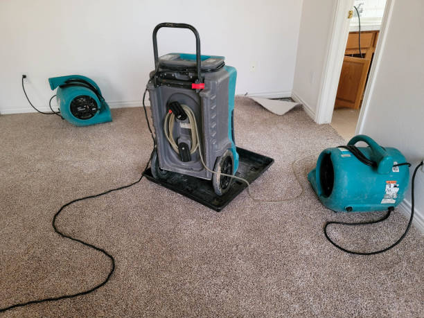 Best Flood restoration services  in Kendall West, FL