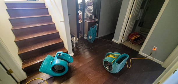  Kendall West, FL Water damage restoration Pros