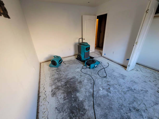 Best Residential water damage restoration  in Kendall West, FL