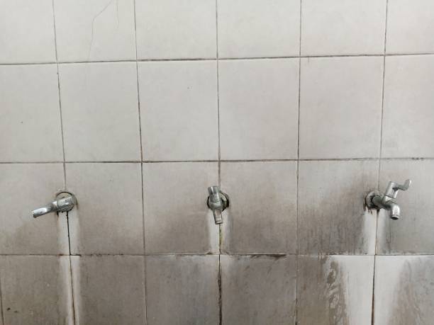 Best Water damage repair service  in Kendall West, FL
